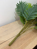 Pianta per decorazione