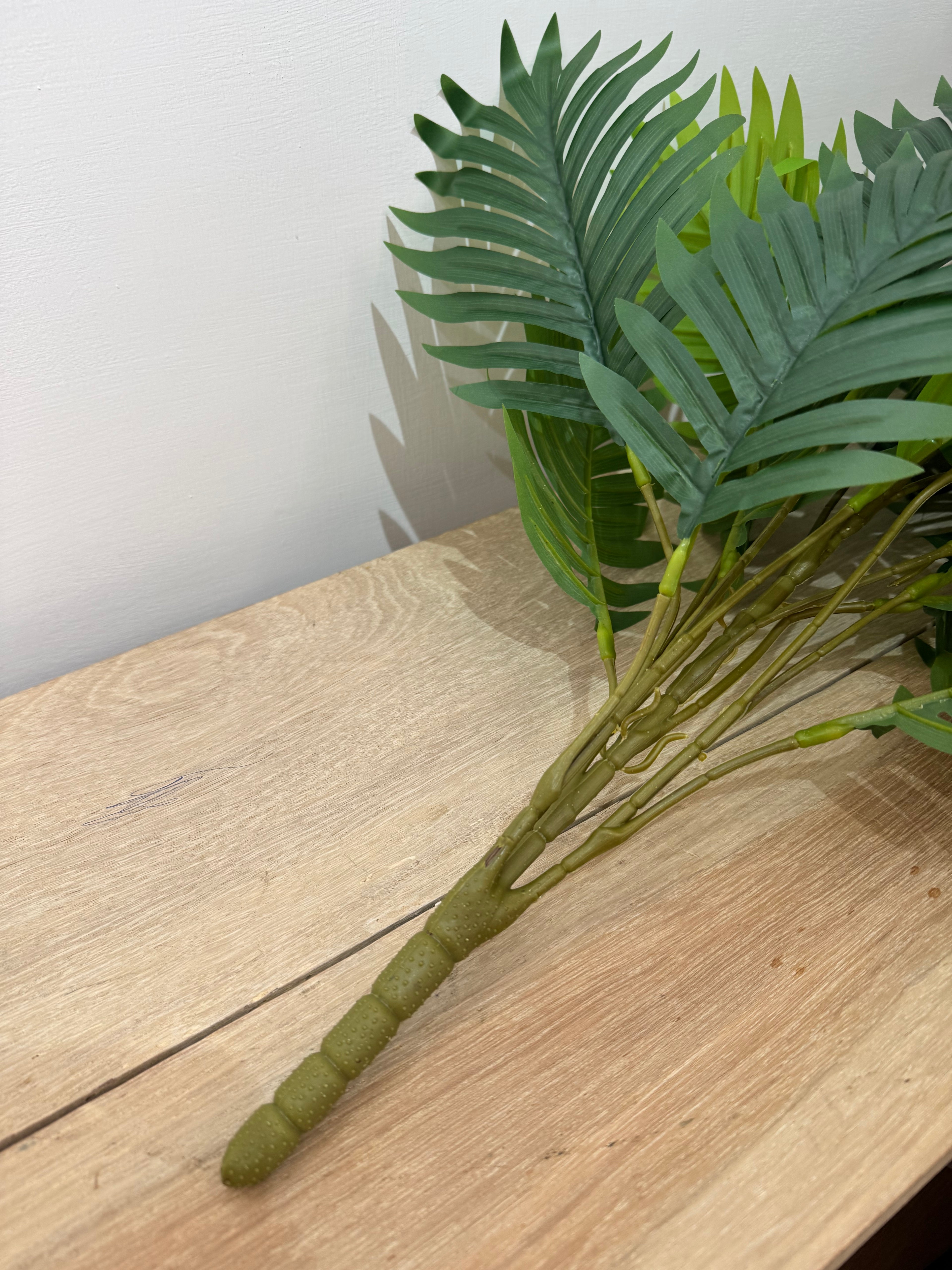 Pianta per decorazione