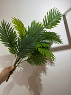 Pianta per decorazione